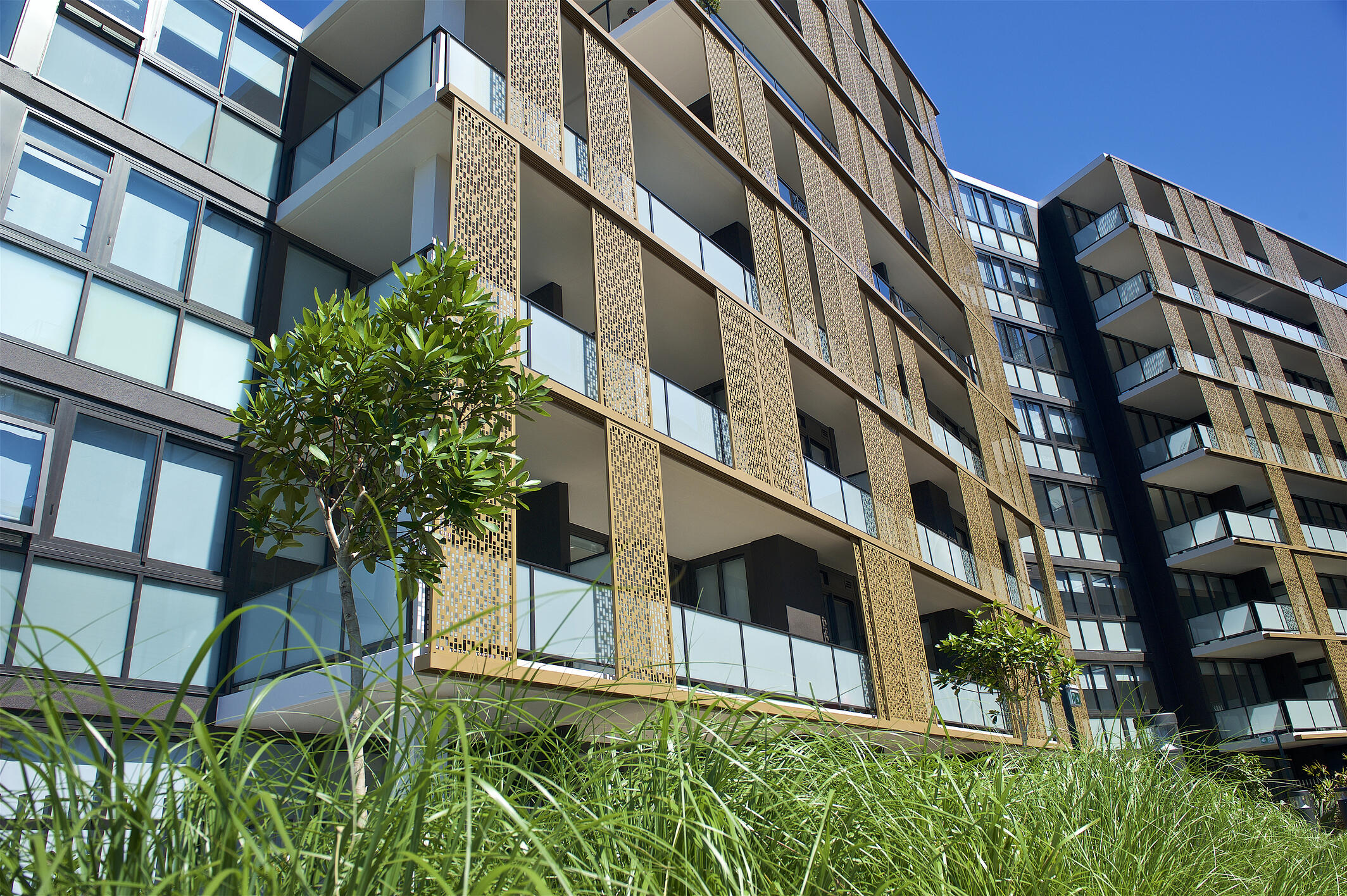 Hebel – The Strong Silent Type